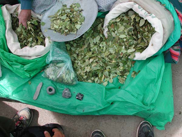'coca leaves for sale at a very competitive price'